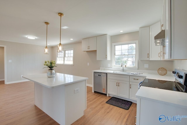 kitchen with light wood-style flooring, range with electric cooktop, a sink, ventilation hood, and dishwasher