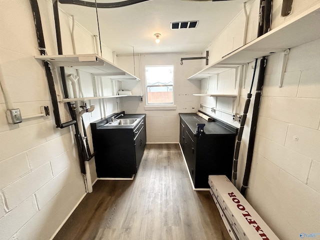 kitchen featuring a sink, dark cabinetry, open shelves, and wood finished floors