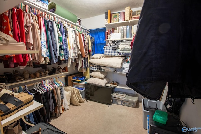 spacious closet with carpet flooring