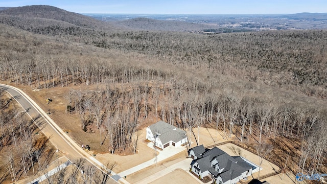 drone / aerial view featuring a mountain view