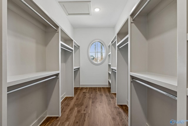 spacious closet with dark wood-type flooring