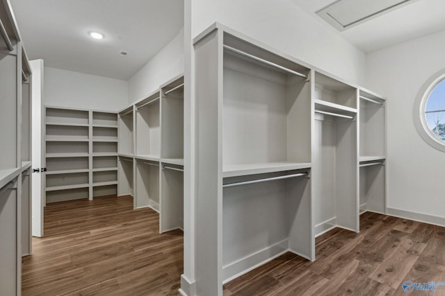 spacious closet with dark hardwood / wood-style floors