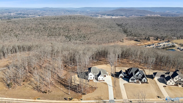 birds eye view of property featuring a mountain view