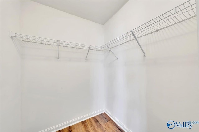 spacious closet with light wood-type flooring