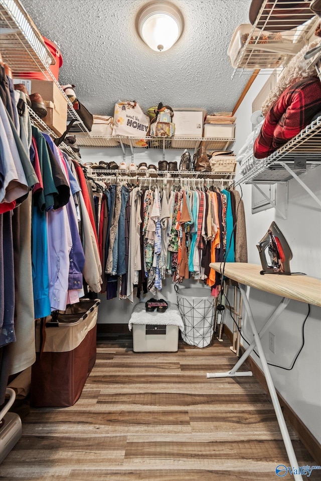 216 Mcdonald Ln, Guntersville, AL 35976 - spacious closet with wood finished floors