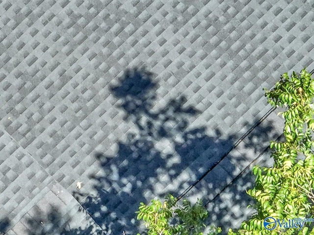 details featuring roof with shingles