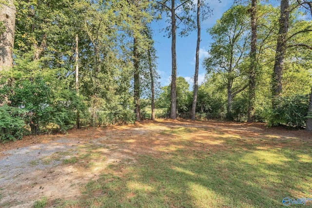 view of yard featuring a wooded view