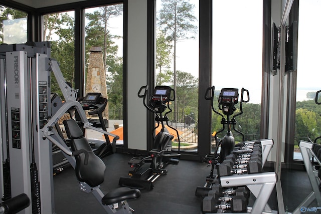 exercise room with a healthy amount of sunlight