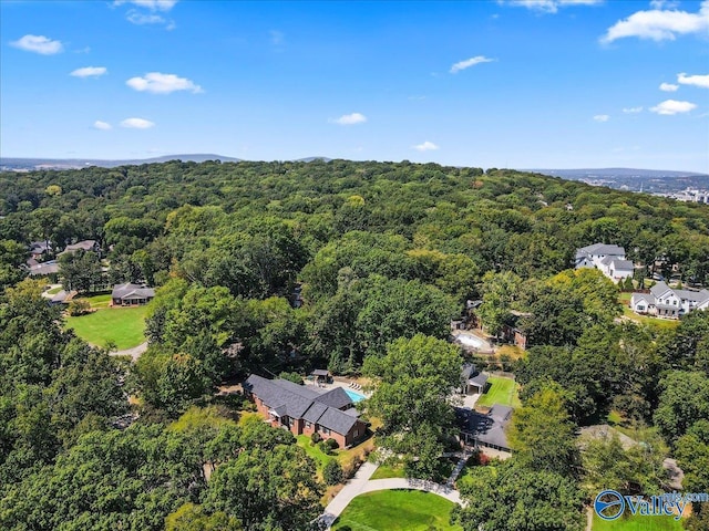 bird's eye view