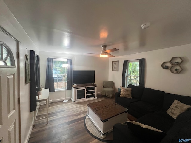 living room with hardwood / wood-style flooring and ceiling fan