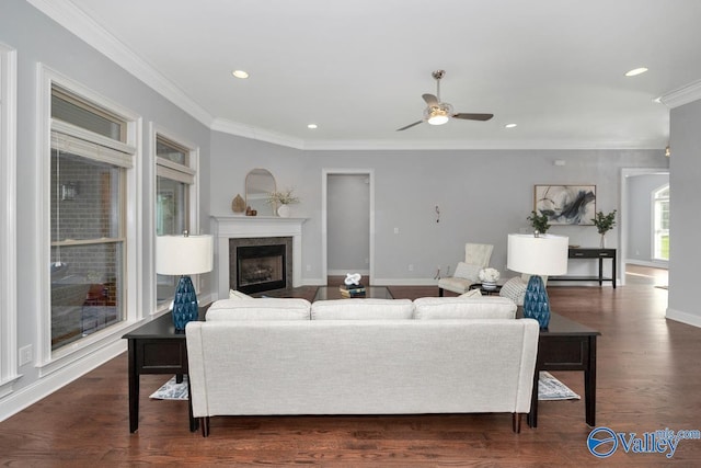 living area featuring dark wood-style floors, a fireplace, baseboards, and crown molding