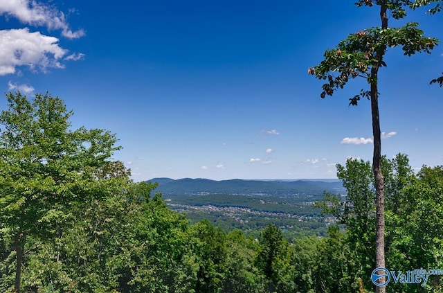 mountain view featuring a forest view