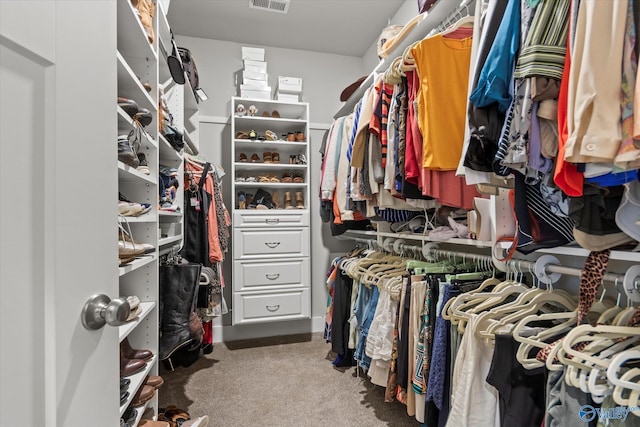 spacious closet featuring carpet floors