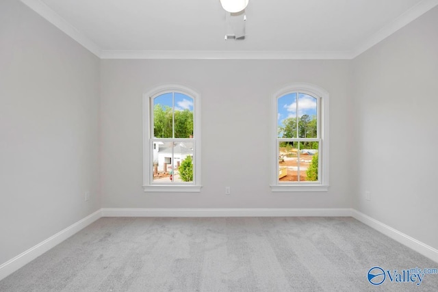 carpeted empty room with crown molding and plenty of natural light