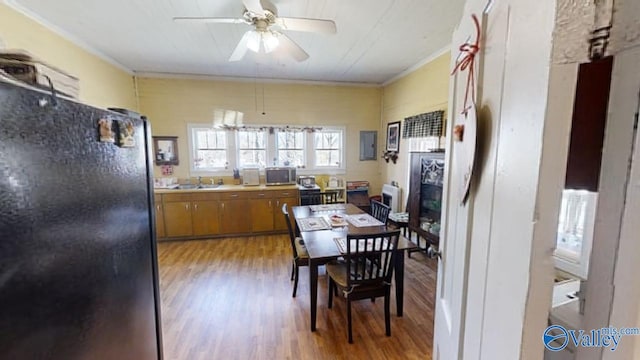 kitchen with sink, ceiling fan, ornamental molding, black fridge, and light wood-type flooring