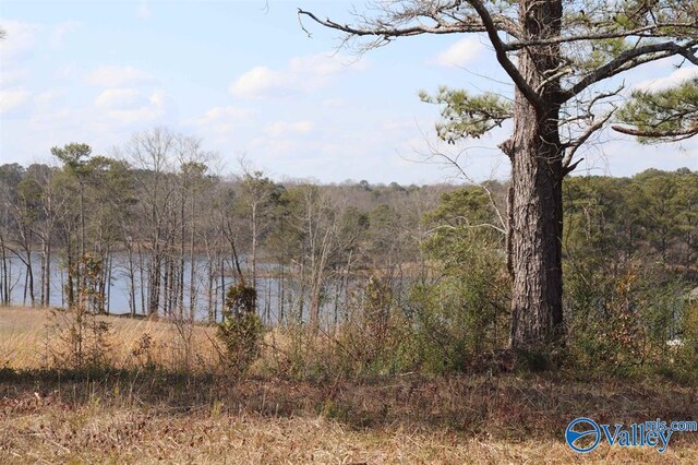 9AC County Road 1464, Cullman, AL 35058