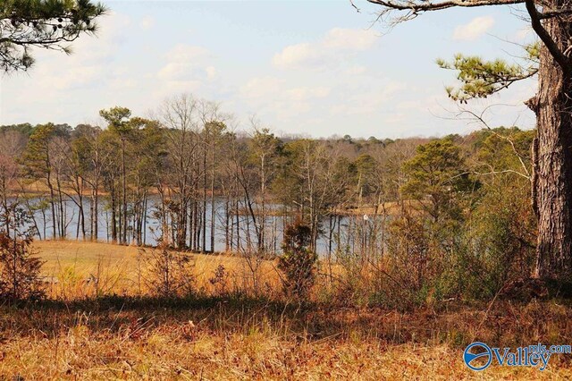 9AC County Road 1464, Cullman, AL 35058