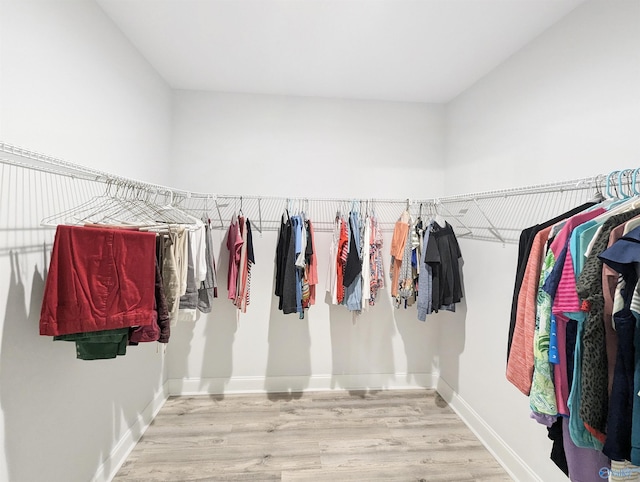 spacious closet featuring hardwood / wood-style flooring