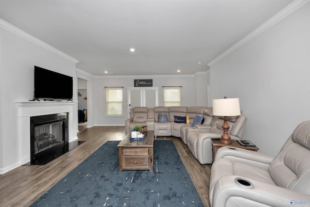 living room featuring hardwood / wood-style flooring and crown molding