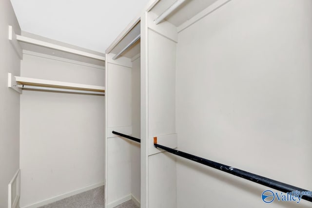 walk in closet featuring carpet flooring