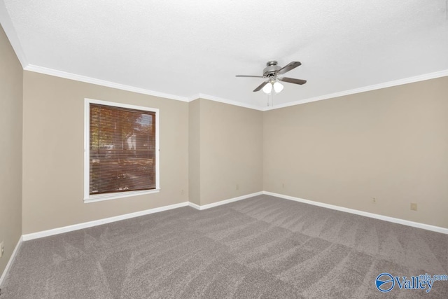 spare room with ornamental molding, carpet, a textured ceiling, and ceiling fan