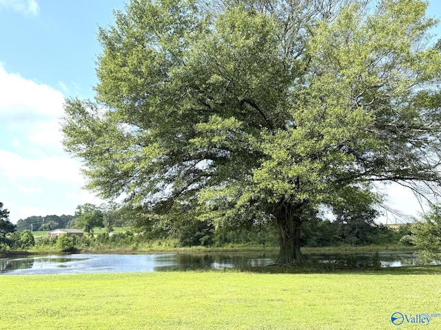 2026B Edmondson St, Albertville, AL 35950