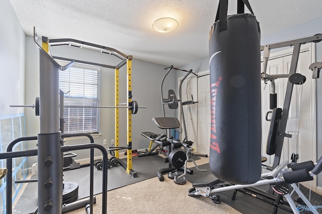 exercise area with a textured ceiling and carpet flooring