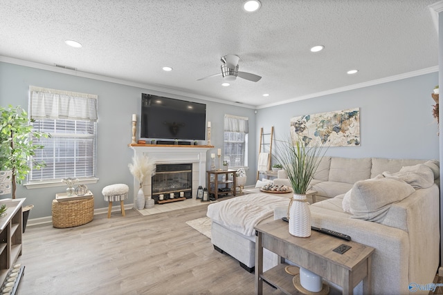 living room with ceiling fan, ornamental molding, hardwood / wood-style floors, and a textured ceiling