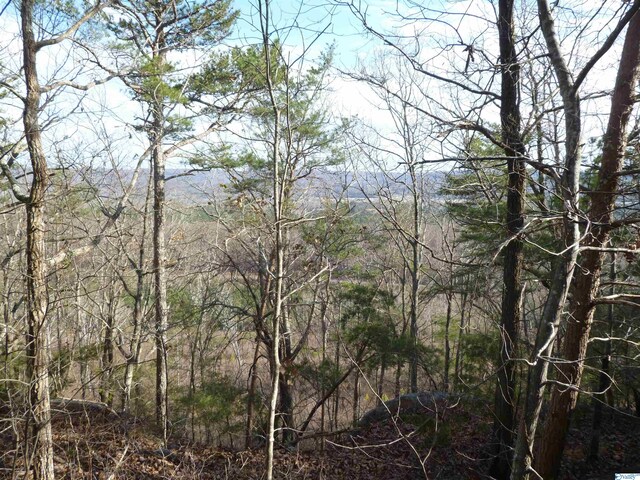 126 County Road 1010, Fort Payne, AL 35968