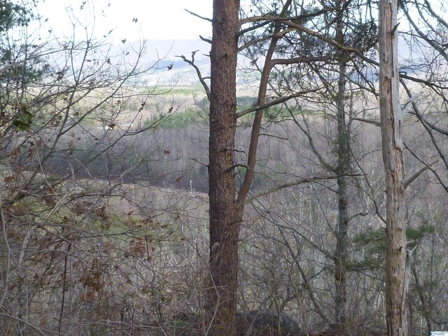 126 County Road 1010, Fort Payne, AL 35968