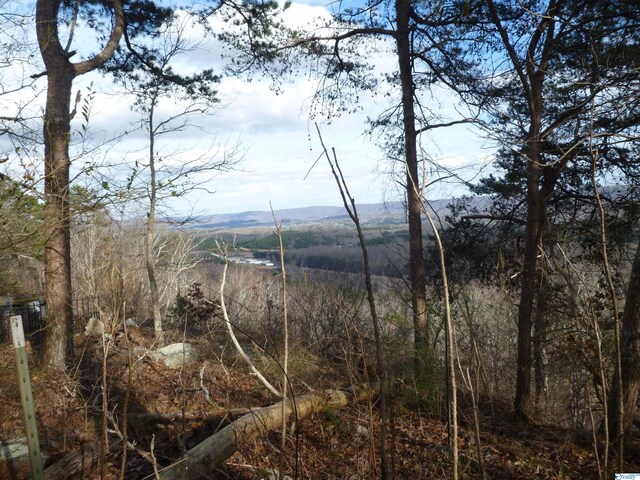 126 County Road 1010, Fort Payne, AL 35968