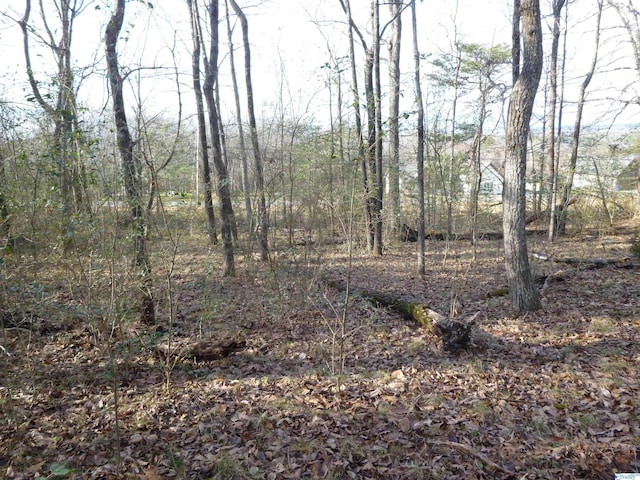 126 County Road 1010, Fort Payne, AL 35968