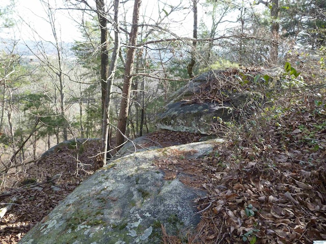 126 County Road 1010, Fort Payne, AL 35968