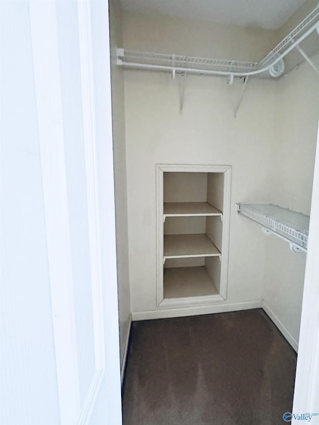 walk in closet with dark carpet