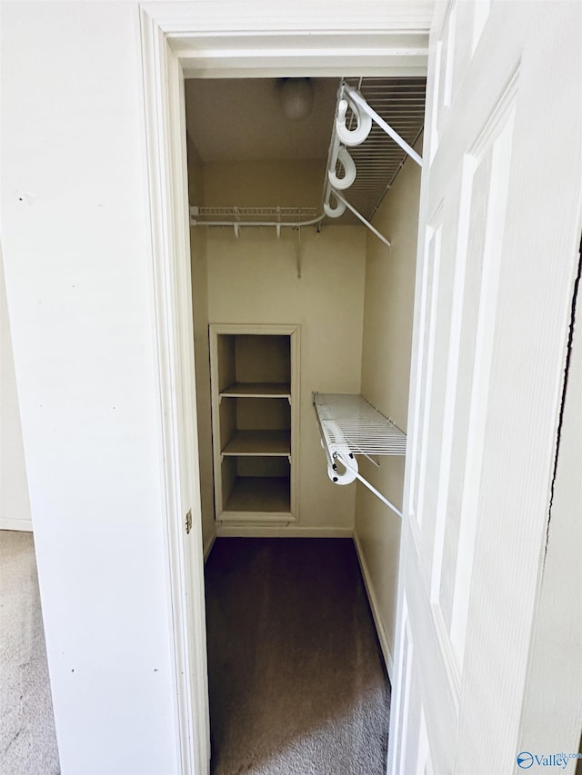 walk in closet with carpet