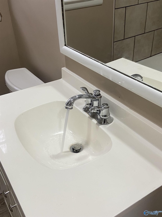 interior details featuring toilet and sink