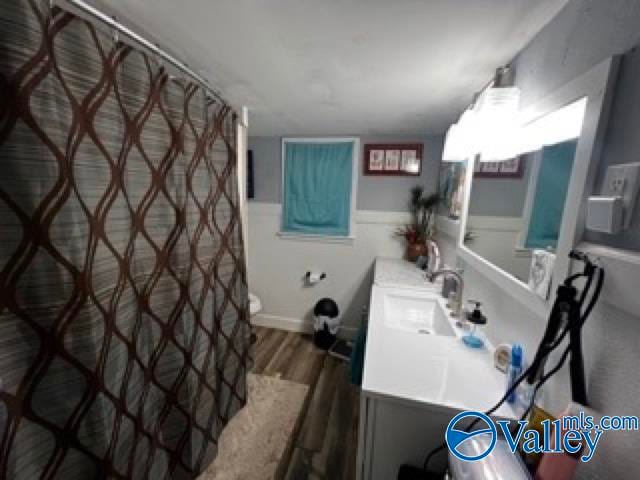 bathroom featuring vanity, a shower with curtain, and wood-type flooring