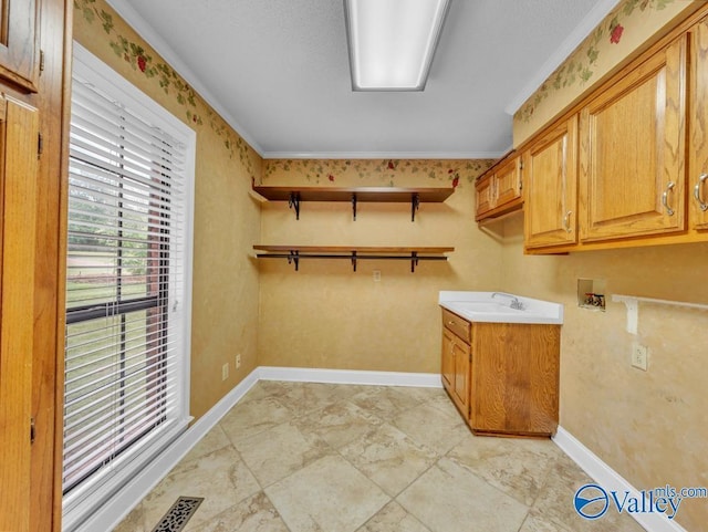 washroom featuring baseboards, hookup for a washing machine, visible vents, and cabinet space
