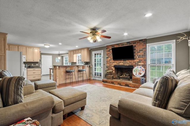 100 Cumberland Cir, Scottsboro, AL 35769 - living room featuring crown molding, ceiling fan, plenty of natural light, and light wood-style flooring