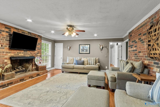 100 Cumberland Cir, Scottsboro, AL 35769 - living area with crown molding, a ceiling fan, and wood finished floors