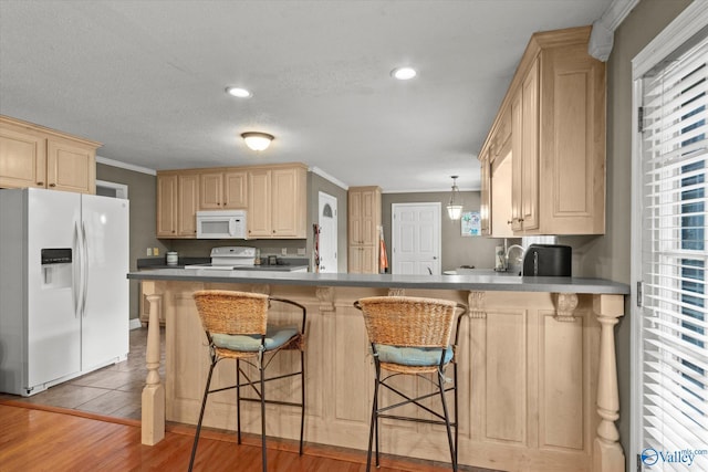 100 Cumberland Cir, Scottsboro, AL 35769 - kitchen with a peninsula, light brown cabinets, plenty of natural light, and white appliances
