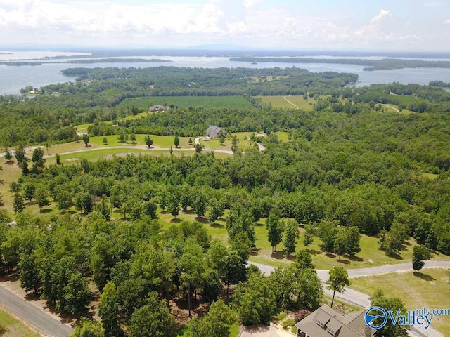 LOT228 County Road 767 # 228, Cedar Bluff AL, 35959 land for sale