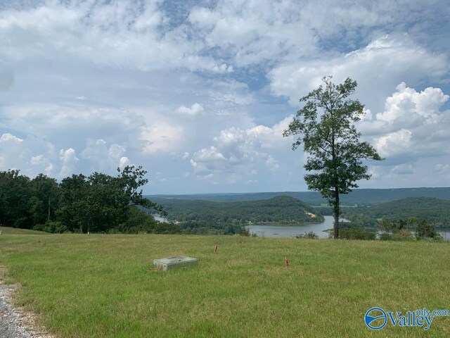 Listing photo 2 for LOT228 County Road 767 # 228, Cedar Bluff AL 35959