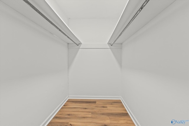 walk in closet featuring hardwood / wood-style floors