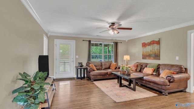 24147 Jacobs Dr, Athens, AL 35613 - living room featuring wood finished floors, crown molding, and a ceiling fan