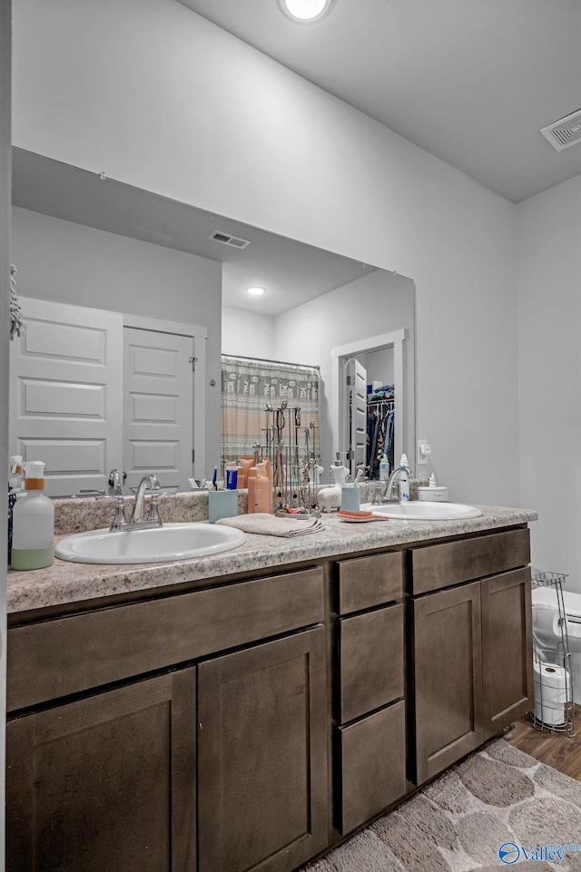 bathroom featuring vanity, curtained shower, and wood-type flooring