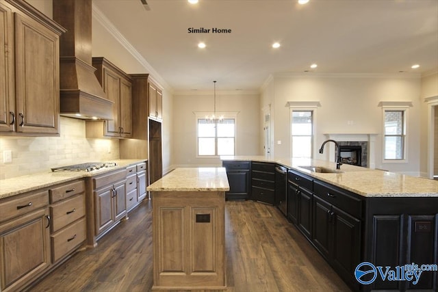 kitchen featuring dark wood-style floors, stainless steel appliances, a sink, a spacious island, and custom range hood