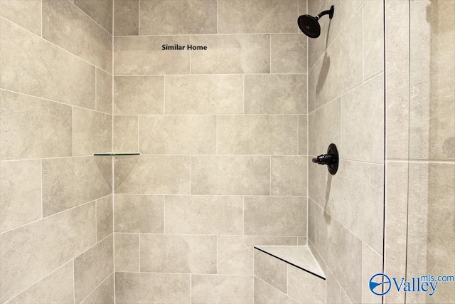 interior details featuring tiled shower