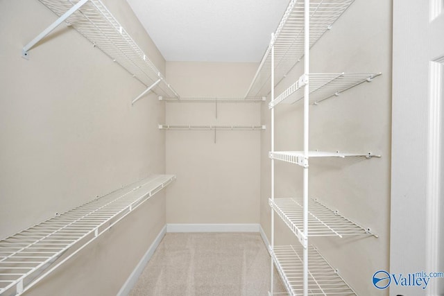412 Clydebank Dr, Madison, AL 35758 - walk in closet with carpet flooring