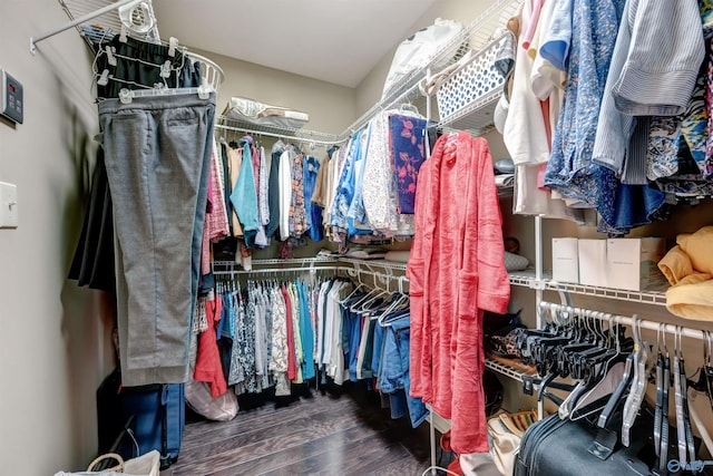 spacious closet featuring dark wood-type flooring